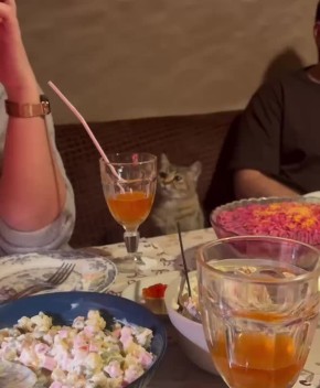 Доброе утро! Такой бы понедельник каждую неделю