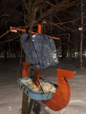 "Летучий корабль" для арзамасских пернатых