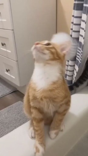 Доброе утро! Еще не потерялись во времени в череде праздников?